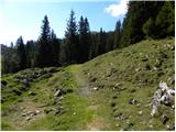 Bitenjska planina - Kosmati vrh (Ratitovec)